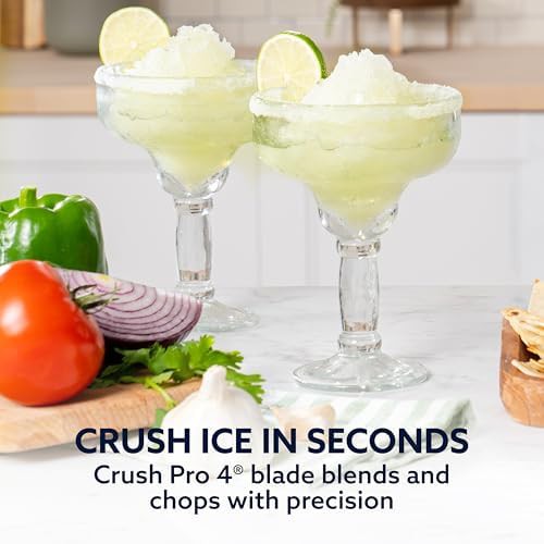 Heritage series stainless steel thousand watt blender — photo 3
