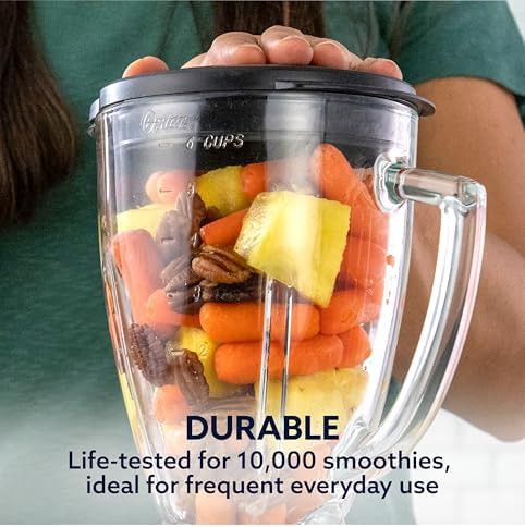 Heritage series stainless steel thousand watt blender — photo 4