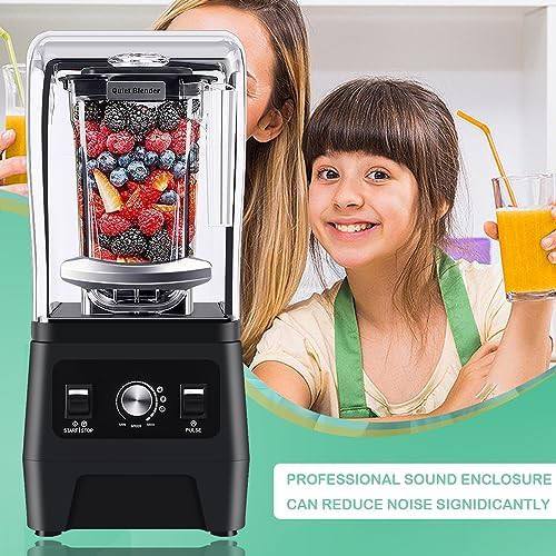 Professional quiet blender with sound enclosure — photo 5