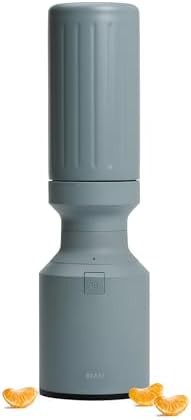 Mist Mini Stainless Steel Blender 600W