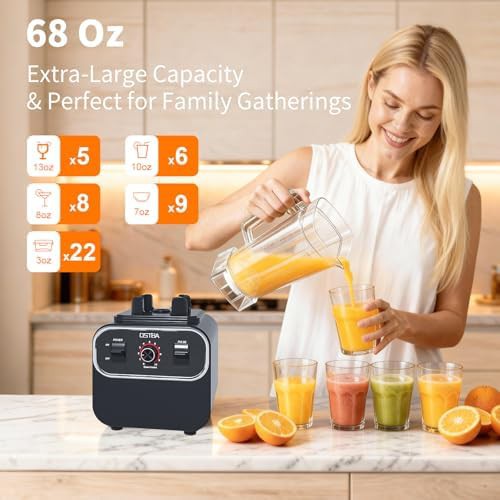 Ten speed commercial smoothie blender — photo 4